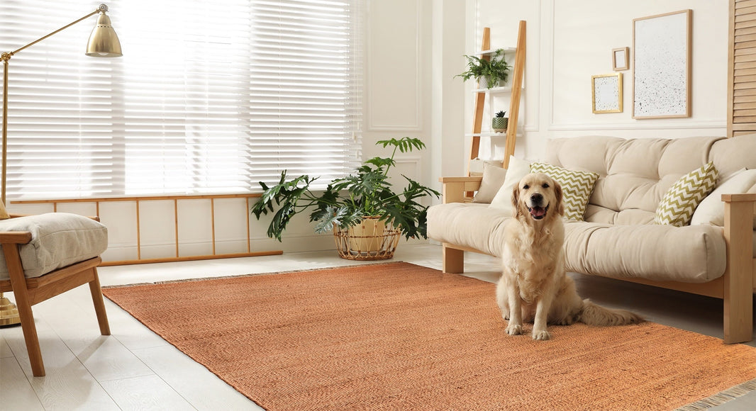 The Best Rugs for Multifunctional Living Spaces in 2025