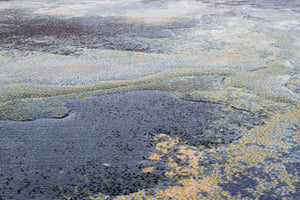 Close-up of the dense low pile of the Tapison Home Torino 063.0934.5241 rug