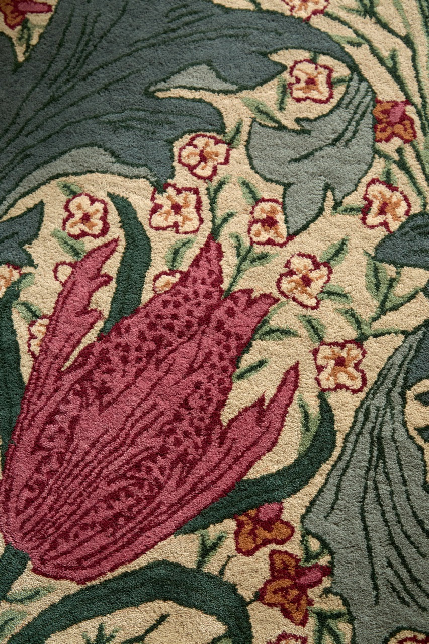 Morris & Co Lent Lily Plum Bayleaf rug in cream with plum tulips and bay green leaves, shown in an interior, third view