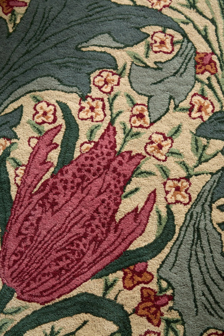 Morris & Co Lent Lily Plum Bayleaf rug in cream with plum tulips and bay green leaves, shown in an interior, third view