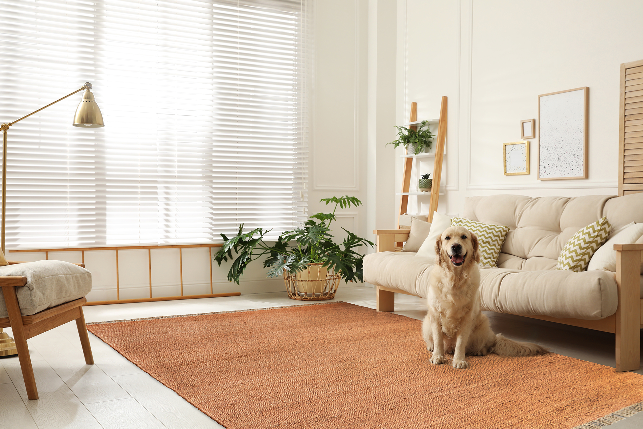 Acsento Vigo Terracotta rug styled in a contemporary living room with neutral furnishings and natural accents.

