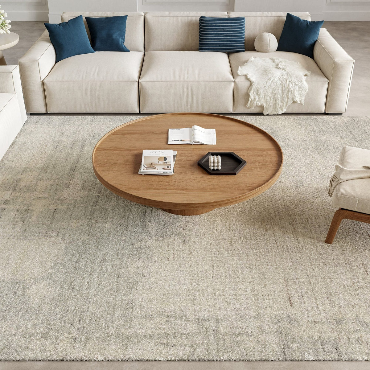 Nourison Harmony HAY04 Ivory Grey Rug, in a living room