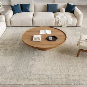Nourison Harmony HAY04 Ivory Grey Rug, in a living room