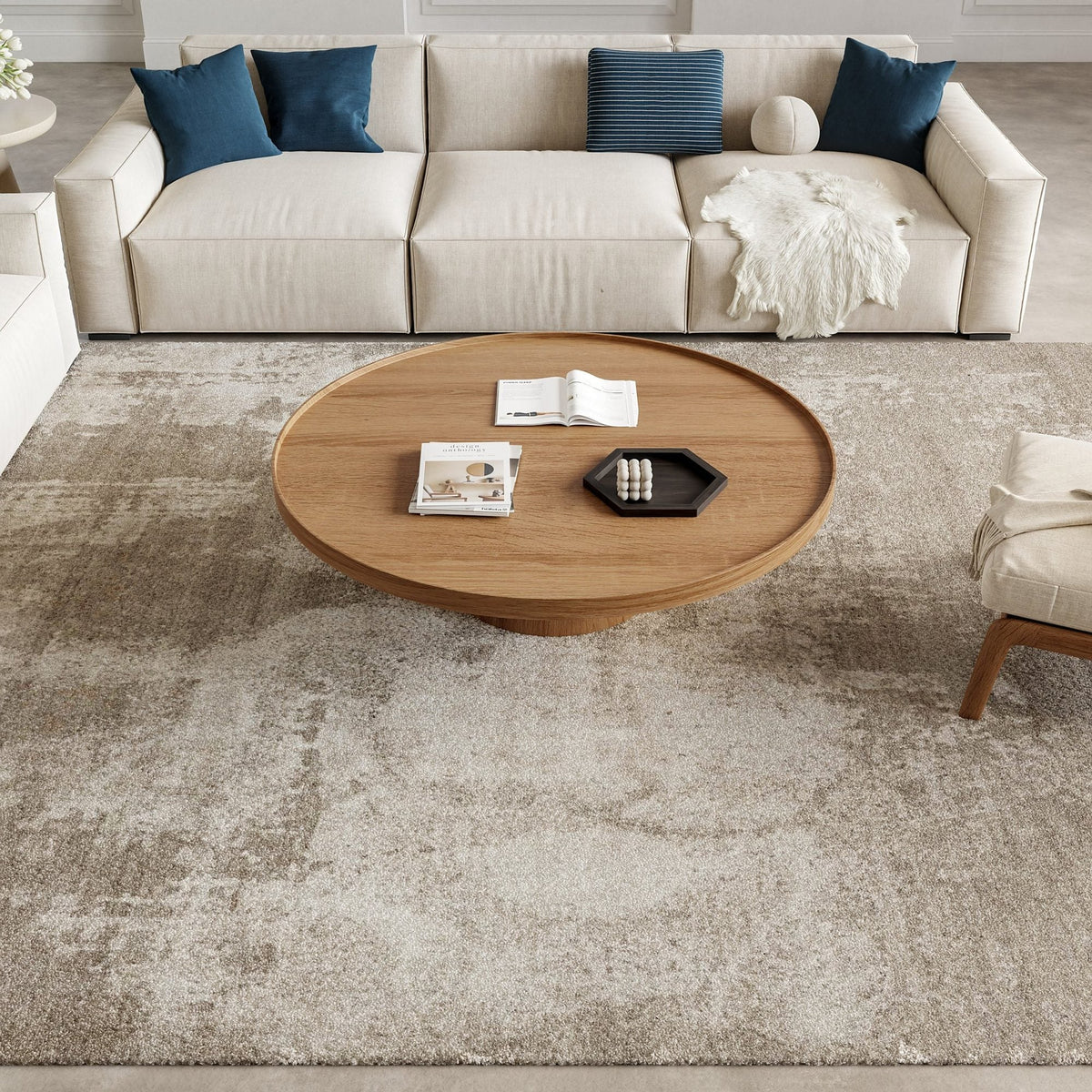 Nourison Harmony HAY06 Silver Grey Rug, in a living room