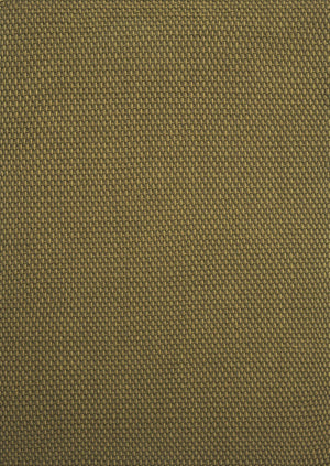 Top-down image of Brink & Campman Lace Thyme Pine rug showing green tonal weave in soft stripe layout