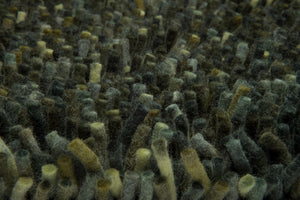 Brink & Campman | Rocks Pine Forest 70547 | Carpet | Tapison