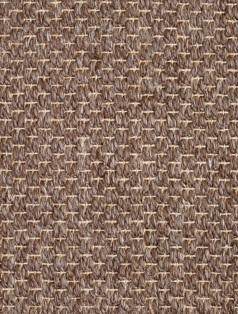 Massimo Belize Taupe sisal rug, detail of the surface