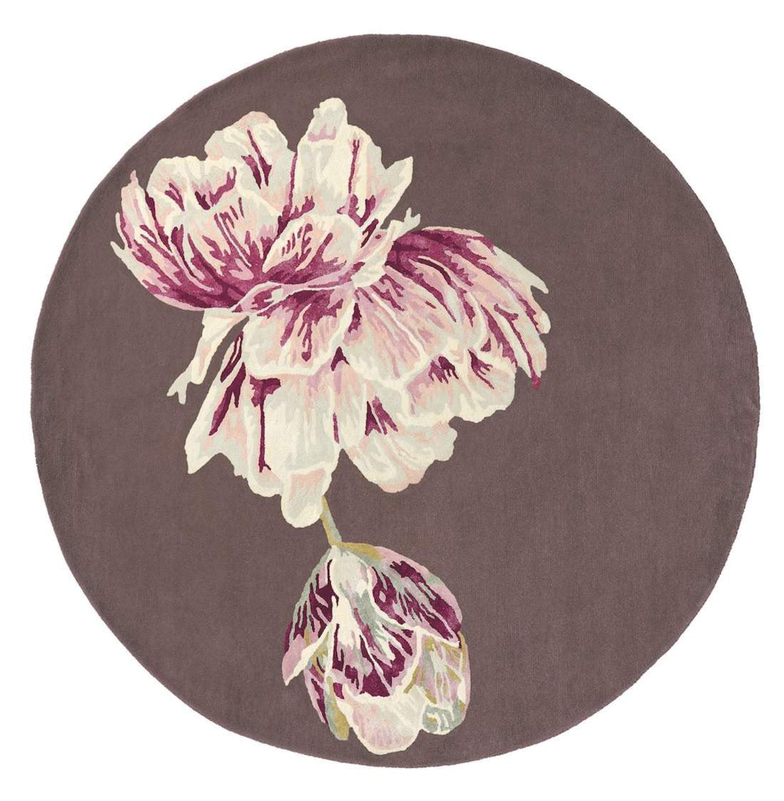 Ted Baker | Tranquility R. Aubergine 56005 | Carpet | Tapison