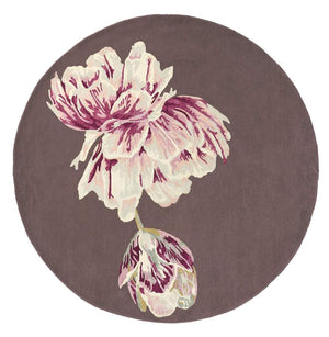 Ted Baker | Tranquility R. Aubergine 56005 | Carpet | Tapison