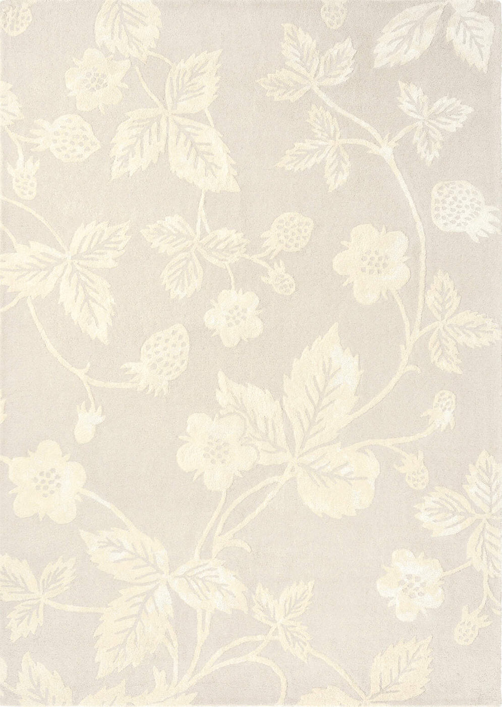 Wedgwood | Wild Strawberry Tonal 38201 | Carpet | Tapison